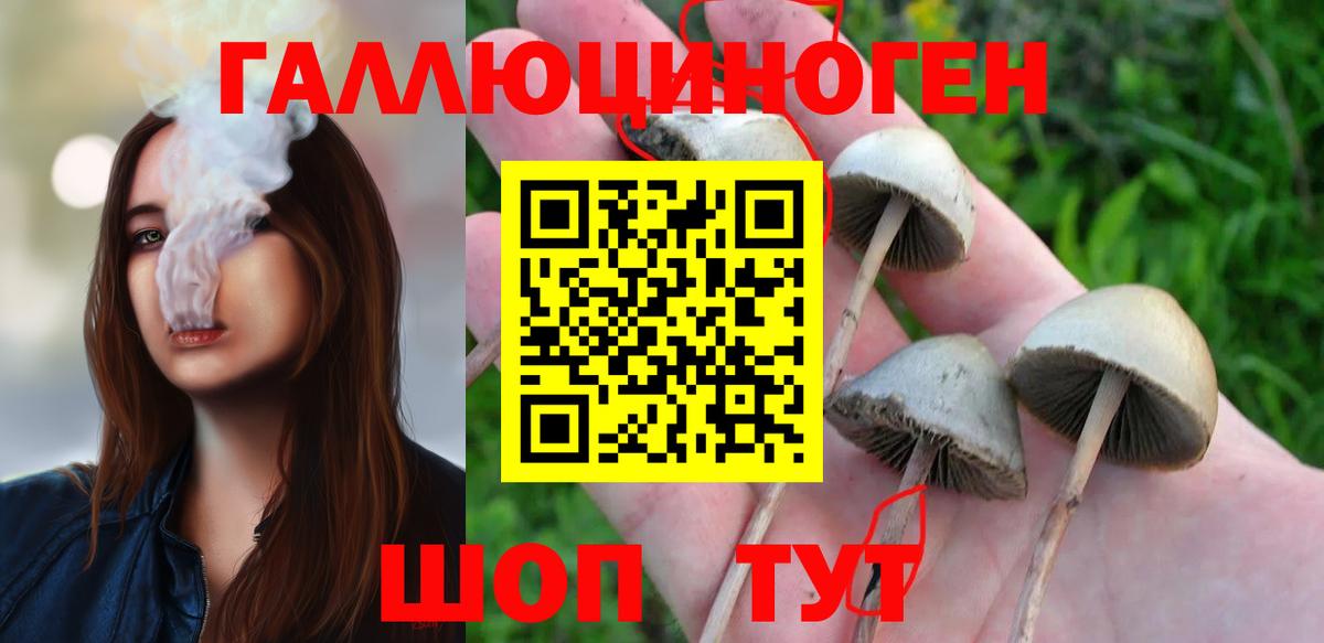 Галлюциногенные грибы прущие грибы  Вход с VPN  закладка  Уварово 