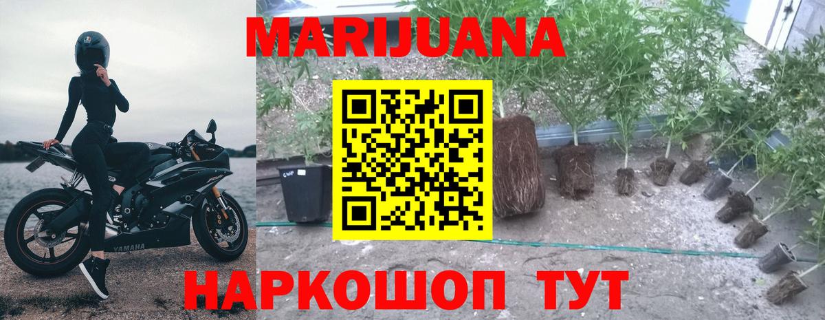 Уварово  Бошки Шишки марихуана  Бошки марихуана THC 21%  Вход с VPN 